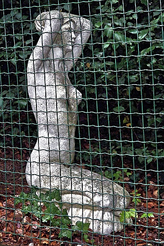 geraard (14)